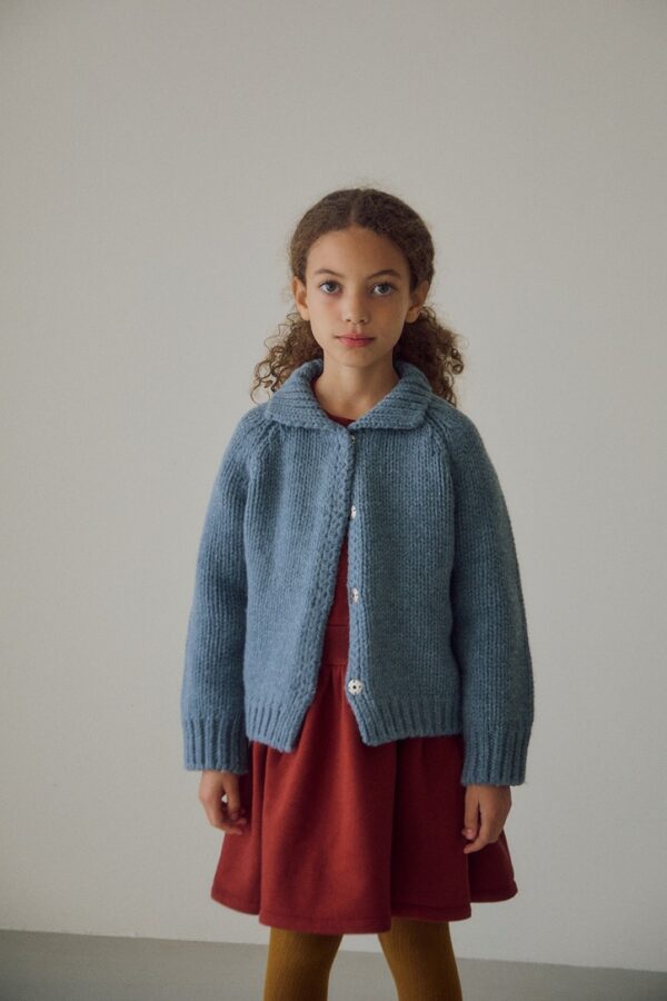 E9FBE42D-CA7E-4451-B4B5-2EBF522D70E4_1_105_c ❄️ 暗扣領片針織外套