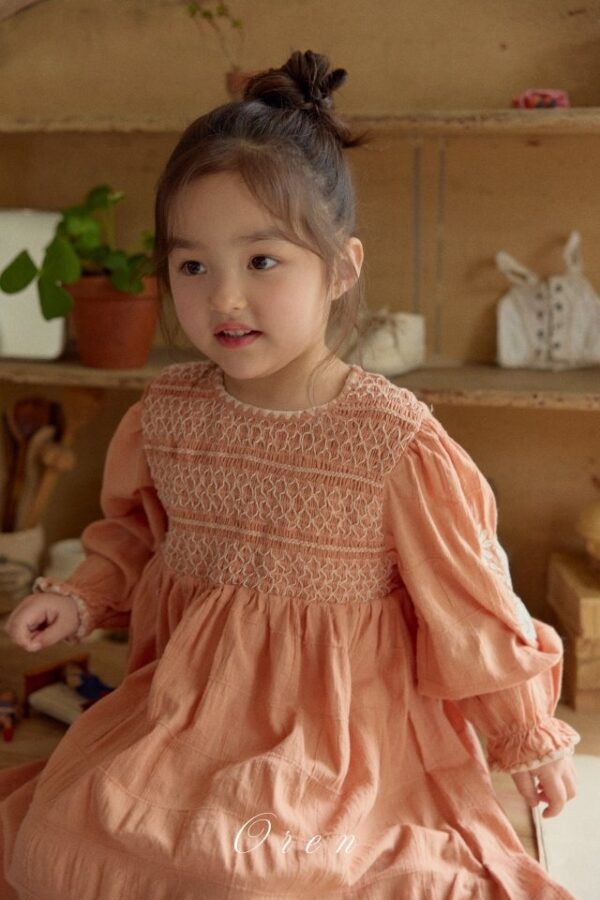 36417207-88A9-4A92-B036-88AB07700033 〖預購〗Marienne 繡線洋裝