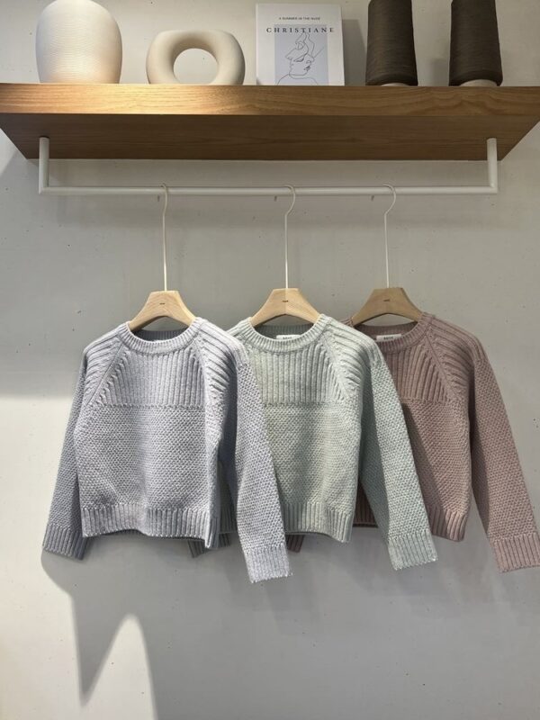 49B0B847-6F0A-4C64-B3E6-9B9D6768C732_1_201_a 〖預購〗Mie 羊絨感圓領上衣