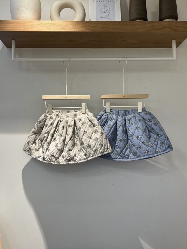 60ED20FA-6A88-4E2C-80F0-F6269D8DB2BE_1_201_a 〖預購〗羽翼立體壓紋質感短裙