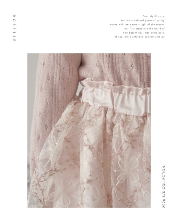 B7211611-2860-4F1E-ACC6-44F9CE8E9E94 〖預購〗微光流星細膩網紗亮感澎澎褲裙