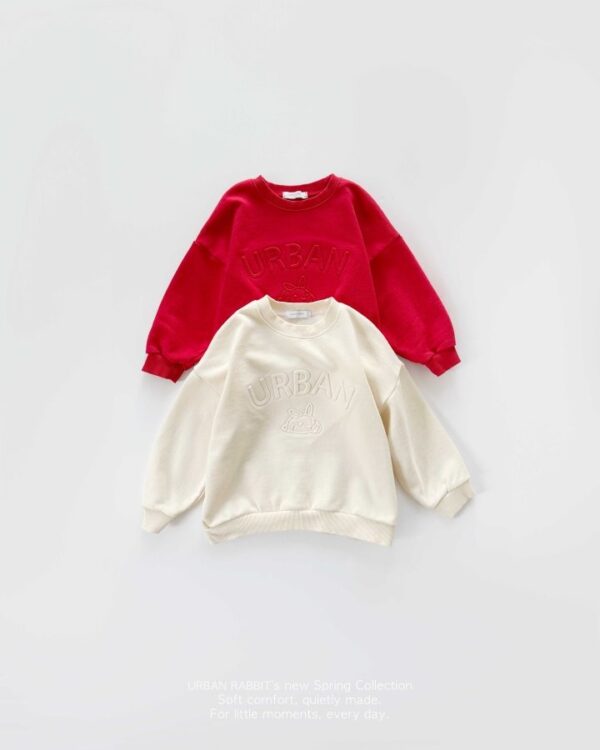 041FE6F4-7B93-4E11-ABBE-A88C5651F888 〖預購〗城市印刻立體壓紋質感衛衣