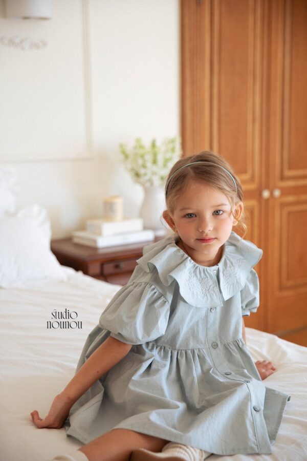 12956B43-BC32-4FD9-9A95-D323A156289F_1_105_c 〖預購〗沈靜午後工藝刺繡洋裝