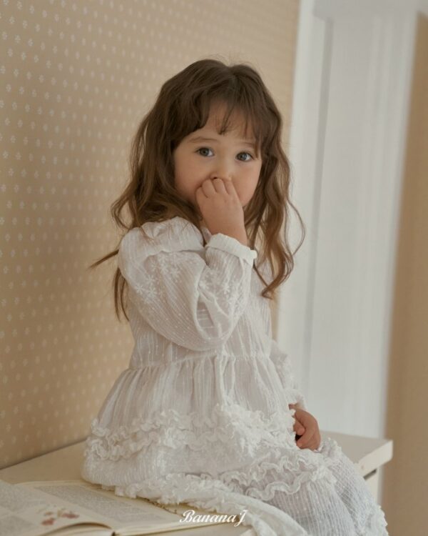 16333D06-BD4F-47C4-8322-08379EDFE0AF 〖預購〗Blanc 純淨感蕾絲刺繡連身洋裝