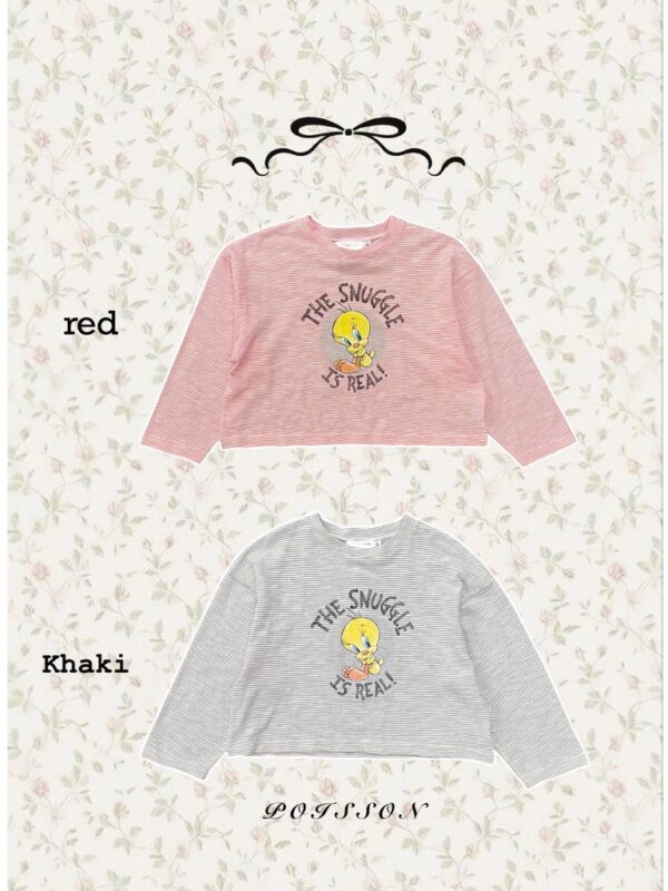 1FDF6863-E7D3-4AE9-AB80-A48D482E5752_1_105_c 〖預購〗Tweety 春天擁抱上衣