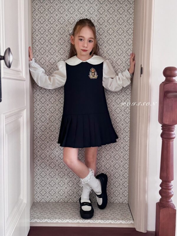 21A27FB3-3F1B-486F-9EB1-187BCDFB1FA1_1_105_c 〖預購〗經典學院藍百褶洋裝