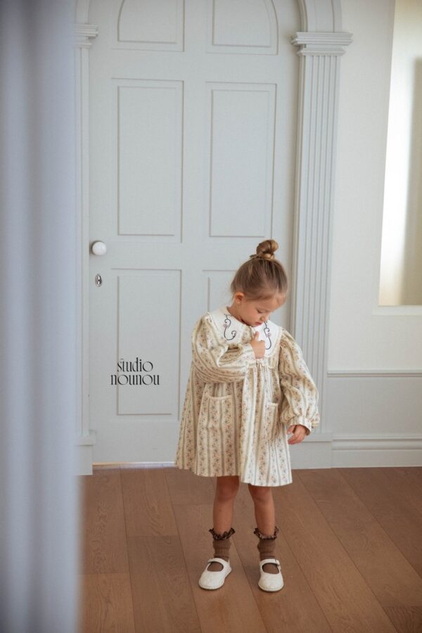 29B45698-C4D1-4BF6-AE87-FC9521B28870_1_105_c 〖預購〗花徑信箋領片洋裝