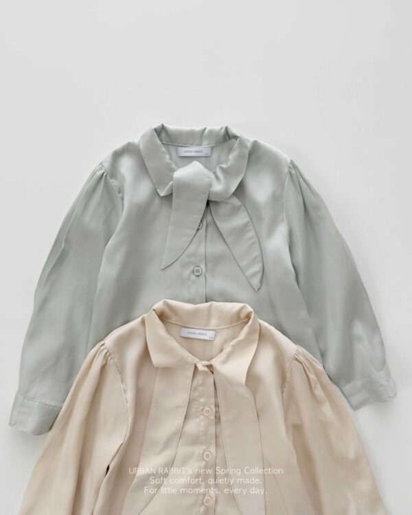 2E8911EA-3E2E-475A-955D-F8924B63371B 〖預購〗絲滑垂墜領結飄帶感襯衫