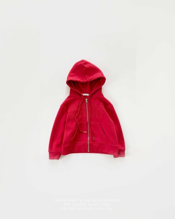 3348F819-0C1C-43EF-98AE-84FCDCE3BA84 〖預購〗厚磅空氣感美式連帽拉鍊外套