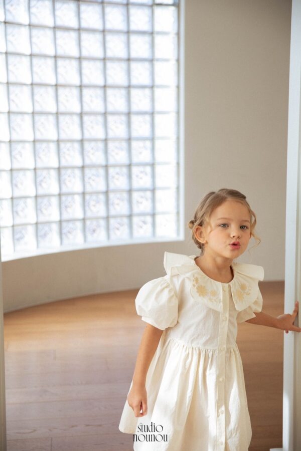 523D62D3-48D6-430F-884B-4655FC4D3A23_1_105_c 〖預購〗沈靜午後工藝刺繡洋裝