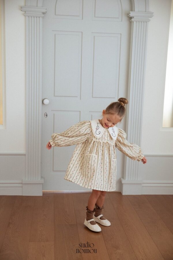 578CBAA5-E249-4C76-BAD1-384DD7C30CAE_1_105_c 〖預購〗花徑信箋領片洋裝