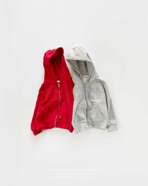 67429BFA-FB40-4A2F-92C9-9115F065354D 〖預購〗厚磅空氣感美式連帽拉鍊外套