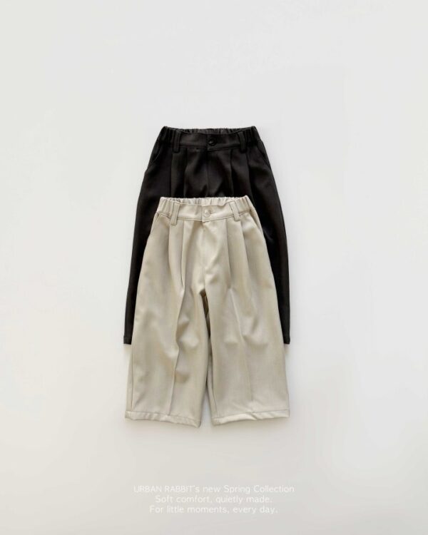 76D2B8E8-B649-4DCE-A235-0CF51C527B32 〖預購〗漫步雲端雙褶版型寬腿西褲