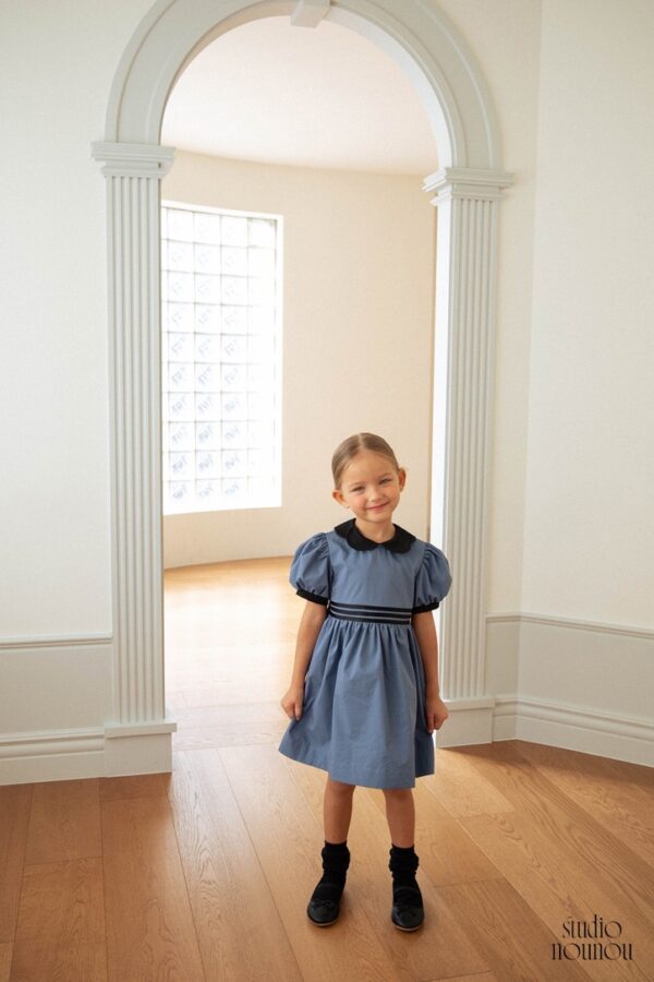 AC219CD9-F256-4604-81F2-2F40530FD5DB_1_105_c 〖預購〗星塵緞帶澎袖洋裝