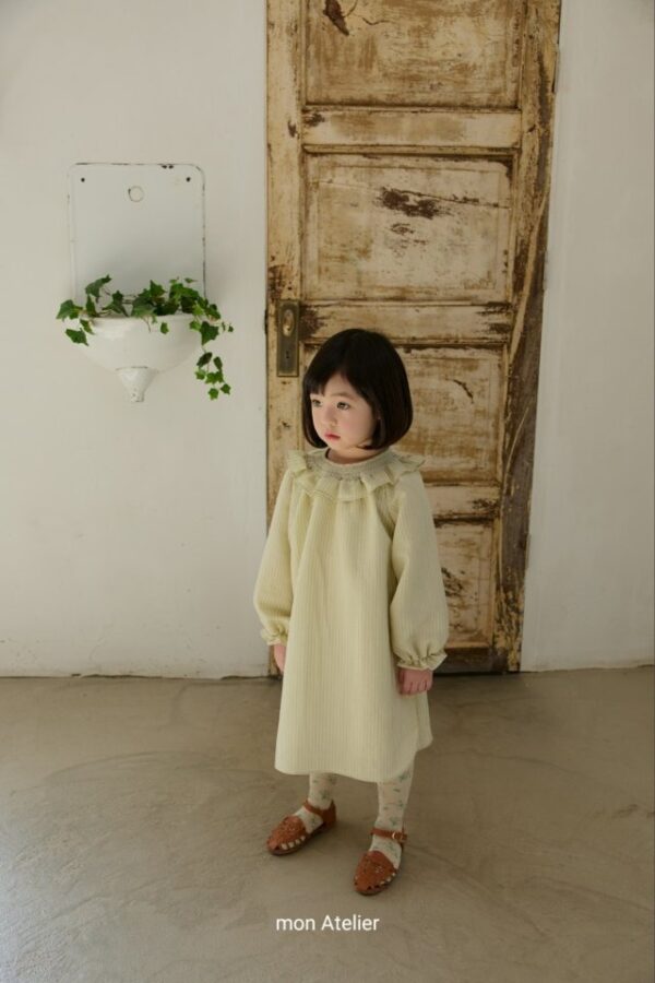 B0B96B62-228B-431C-89EA-3E5402ECD54D 〖預購〗日常春天洋裝