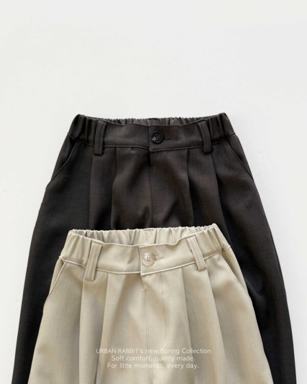 C907F7B3-92EB-4203-A6C5-7675535E36D3 〖預購〗漫步雲端雙褶版型寬腿西褲