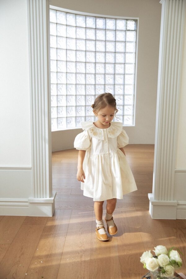 D2F40A6B-1867-4090-8CDF-C8AD0BE8F07D_1_105_c 〖預購〗沈靜午後工藝刺繡洋裝