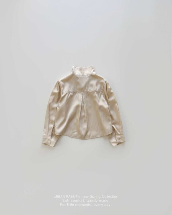 D34AE44E-6A4E-4408-9145-9C2C16F6466B 〖預購〗絲滑垂墜領結飄帶感襯衫