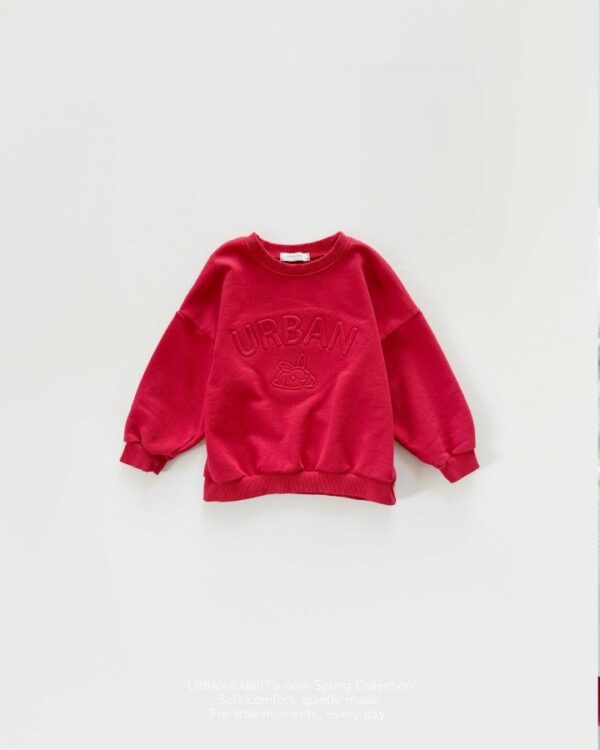 DEC08EBF-296D-4B74-A3EE-6C3F2602B259 〖預購〗城市印刻立體壓紋質感衛衣