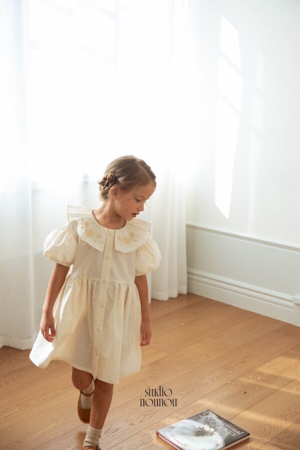 E6387A14-295F-4A94-9E5D-F7F28F5D3CF1_1_105_c 〖預購〗沈靜午後工藝刺繡洋裝