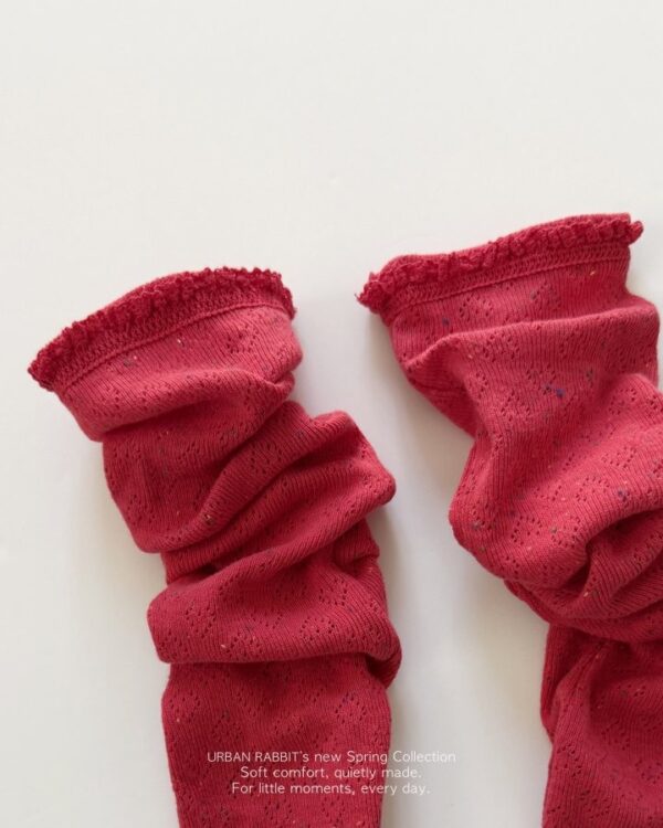 F5C637AF-FF96-4020-8F26-9DE2EC90A72B 〖預購〗復古窗櫺鏤空雕花質感長襪