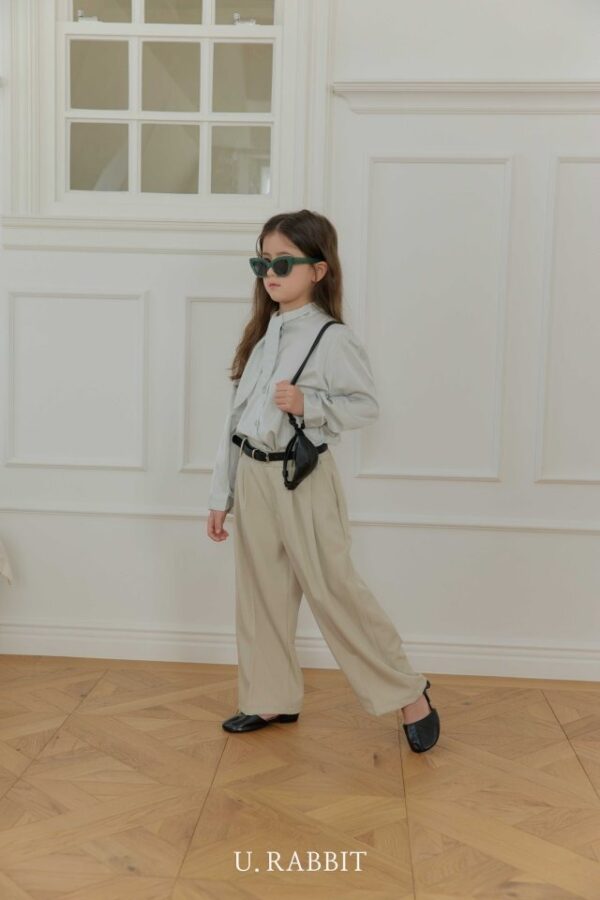 FCB257C0-827A-47EA-A0AE-D54B51F71AD9 〖預購〗漫步雲端雙褶版型寬腿西褲