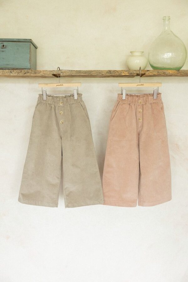 3FFE0376-2F37-4672-BF70-3035D02CCFF6 瑪雅燈芯絨鈕扣褲