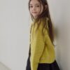 50E729B7-9CBC-4ABB-BD93-D88E8C8BDEE5_1_105_c 口袋領片針織外套